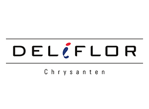 Deliflor Chrysanten